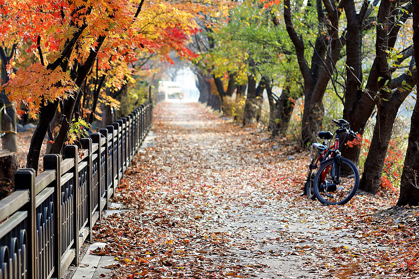 Herbst Gefahren im Herbst